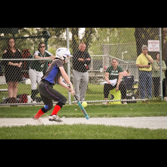 Meet your Posher, Maddy - Picture 1 of 1